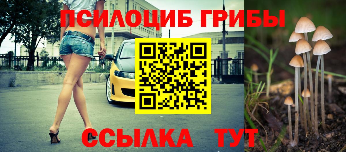 Галлюциногенные грибы Cubensis Россия